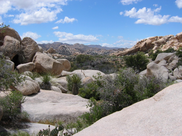 from Barker Dam 1