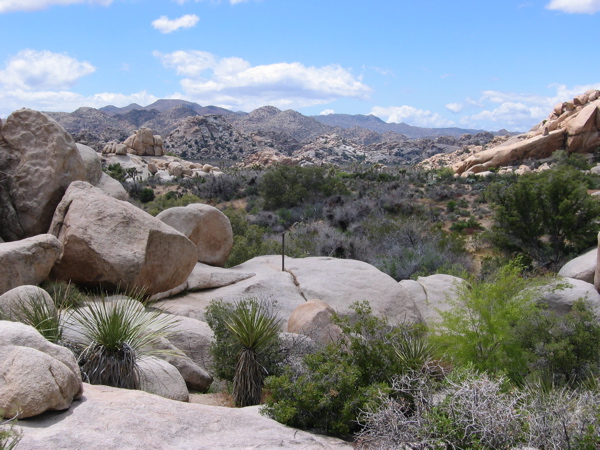 from Barker Dam 2