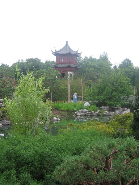 Chinese Garden 7