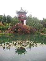 Chinese Garden 1