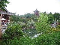 Chinese Garden 5