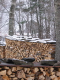 barn and wood piles